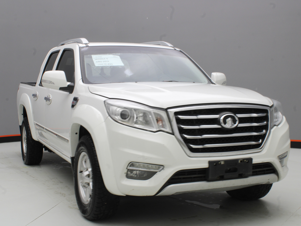 GWM WINGLE 6 2019